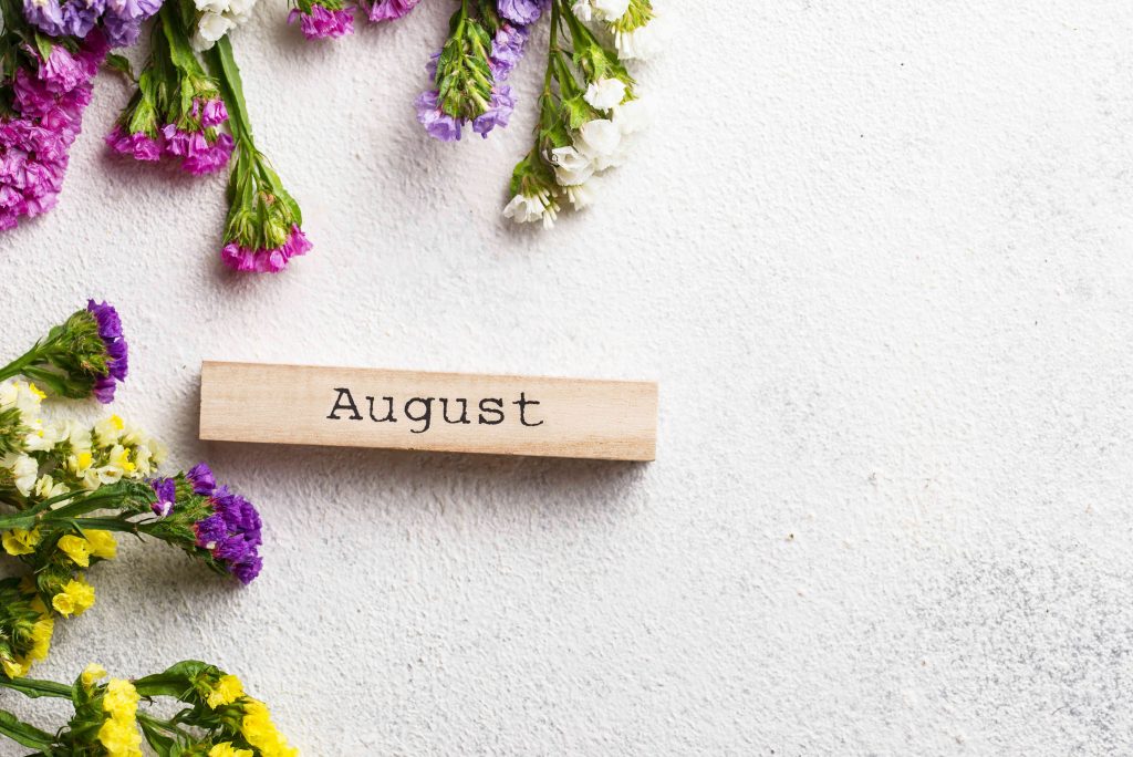 august retail metrics